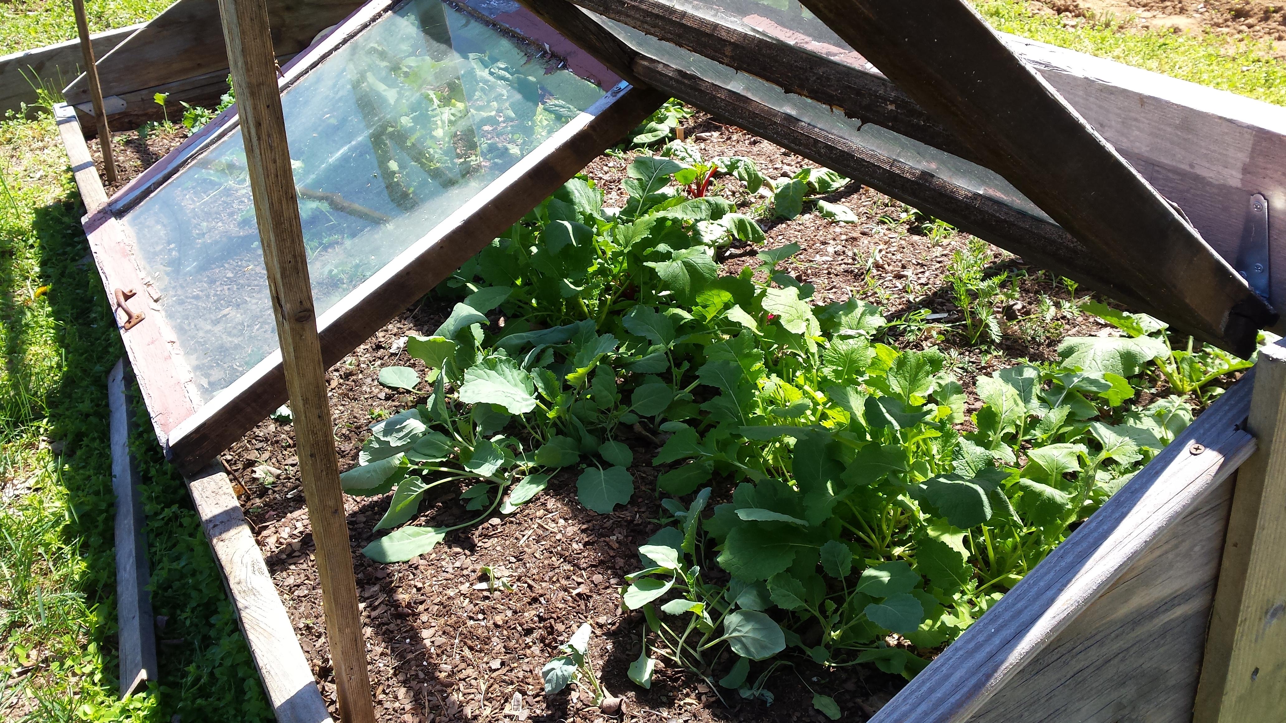 Raised Bed Into A Cold Frame, How To Make A Cold Frame For Raised Garden Bed