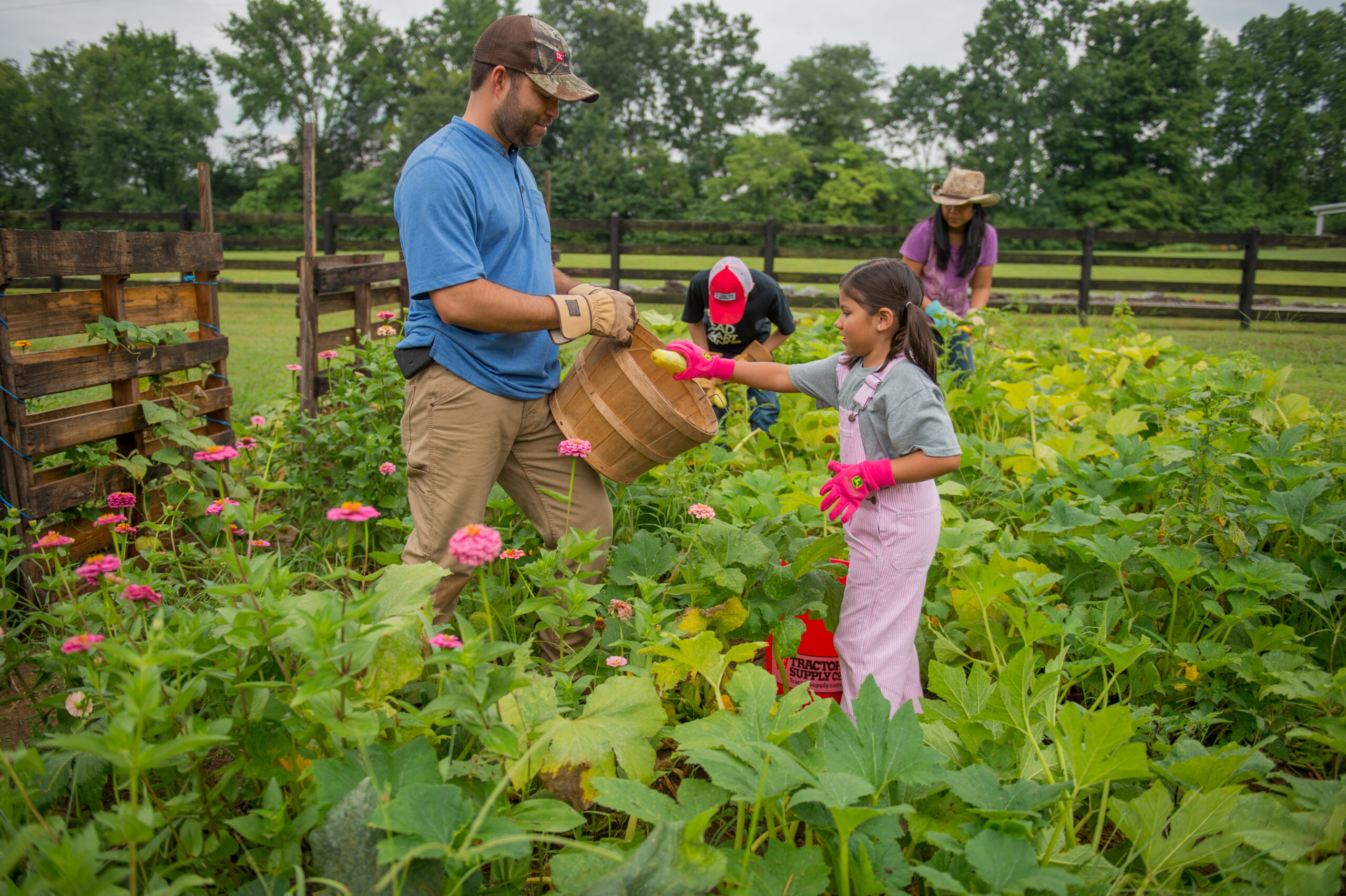 Last Day of the U-Pick Garden will be Saturday July 21st