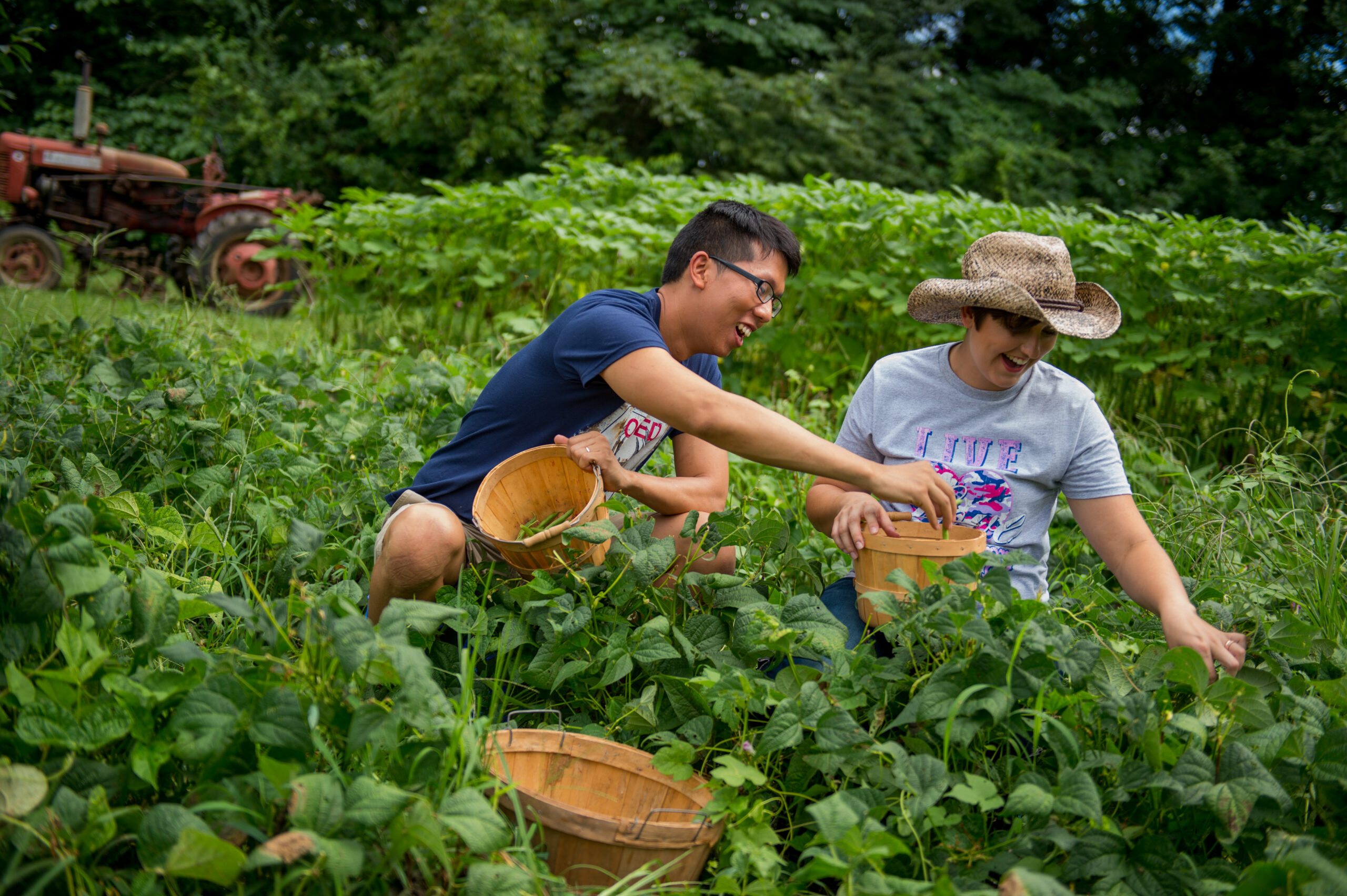 U-Pick Garden opens Father’s Day, June 17th, 1-7 pm