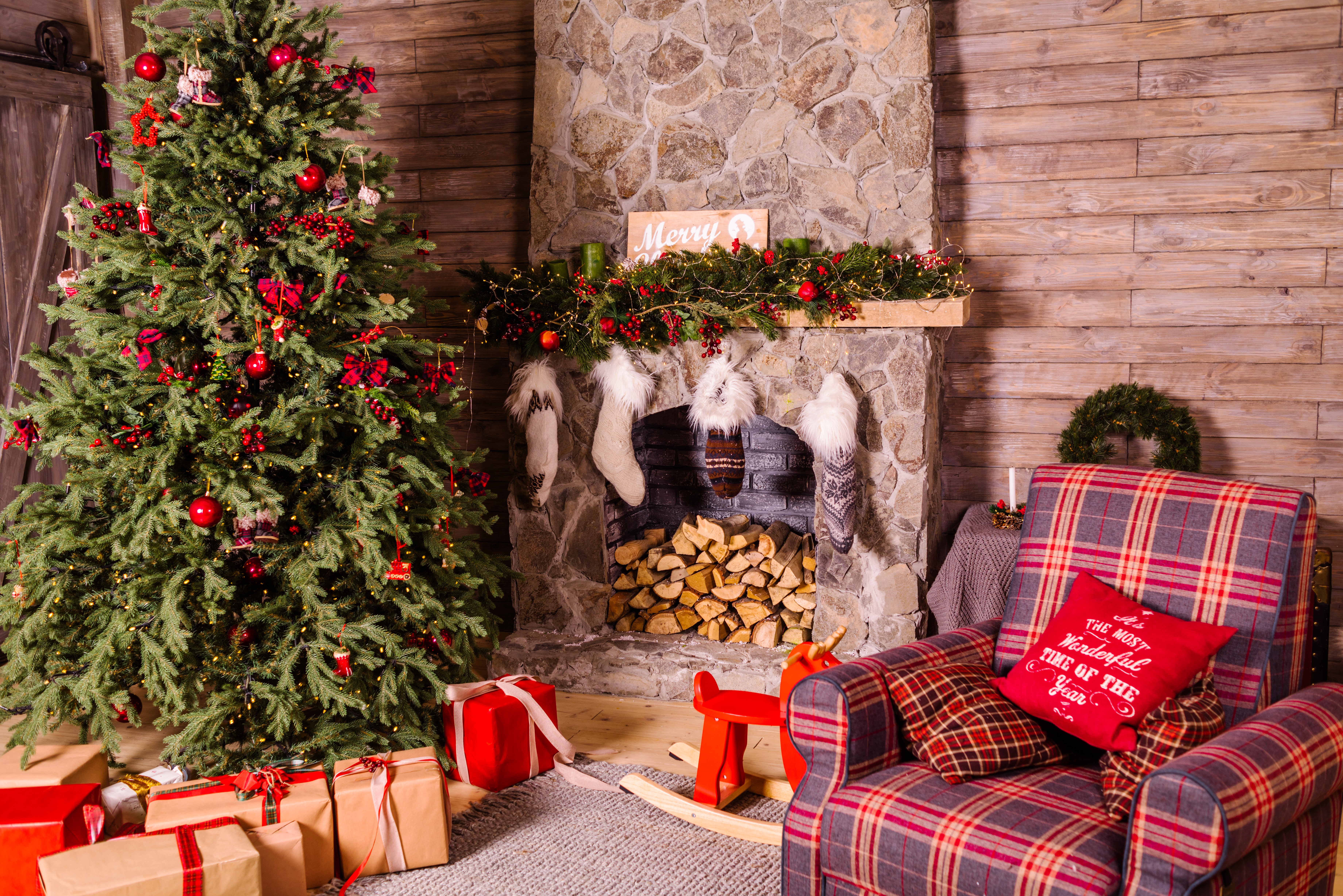 4 Sustainable Christmas Tree Ideas