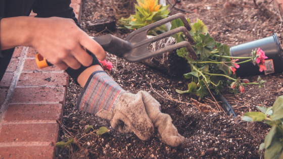 5 Ways to Sustainably Prevent & Remove Weeds from Your Garden