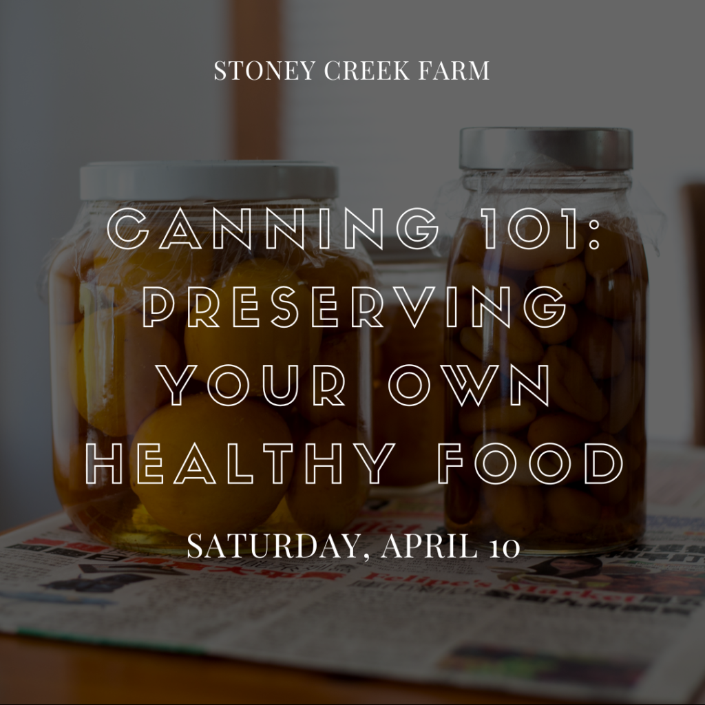 Pressure Canning, Water Bath Canning, or Blanching: Which is the Right ...