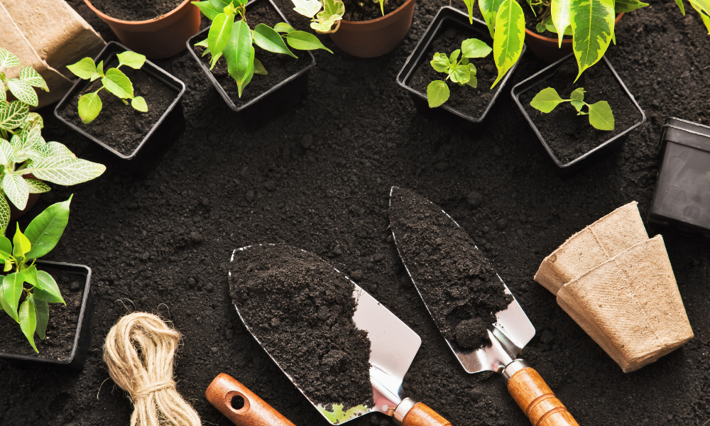 4 Best Gardening Tools Every Gardener Needs