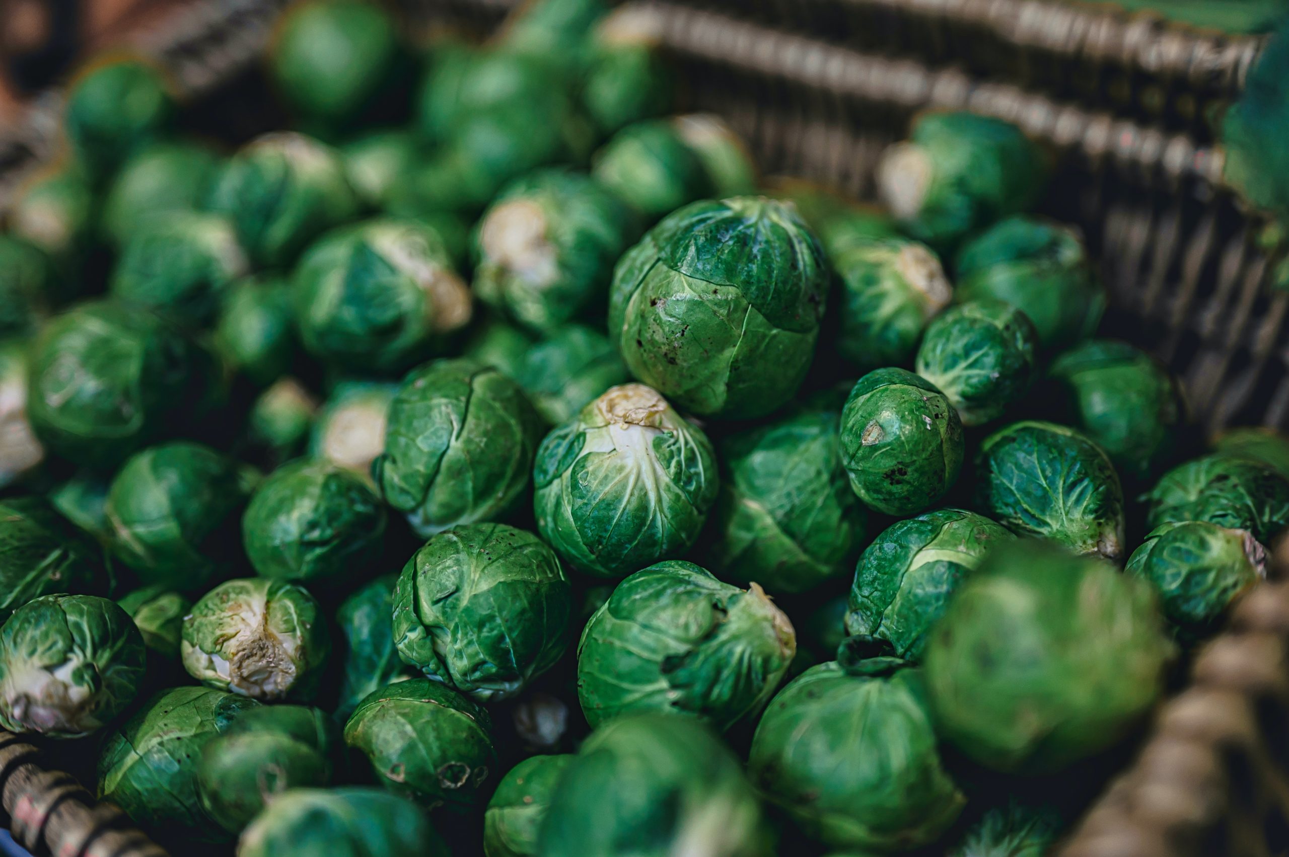 How To Grow Brussels Sprouts in the Fall