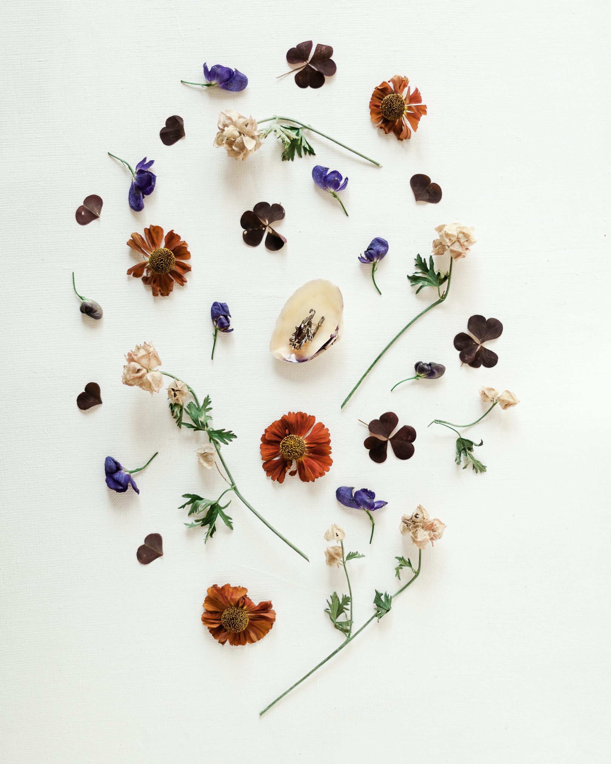 How to Create Sustainable Beauty:  Flower Pressing