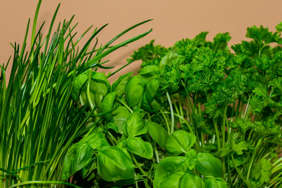 Herbs You May NOT Know About