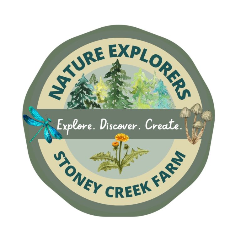 Stoney Creek Nature Explorers Stoney Creek Farm