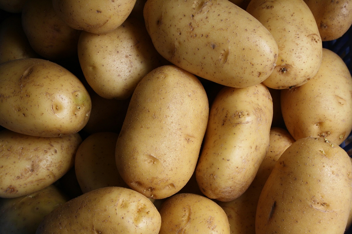 Easy Ways to Grow Potatoes