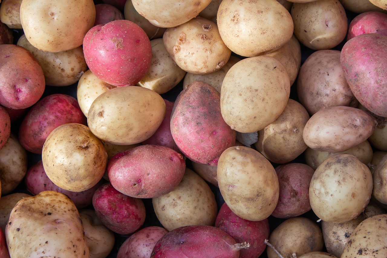 How to Grow Potatoes All Year Round