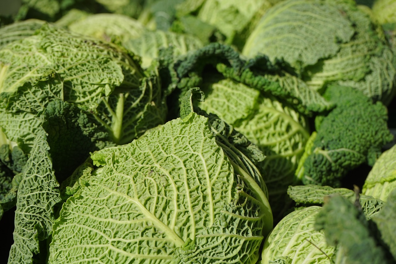 The Easiest Alkaline Vegetables to Grow