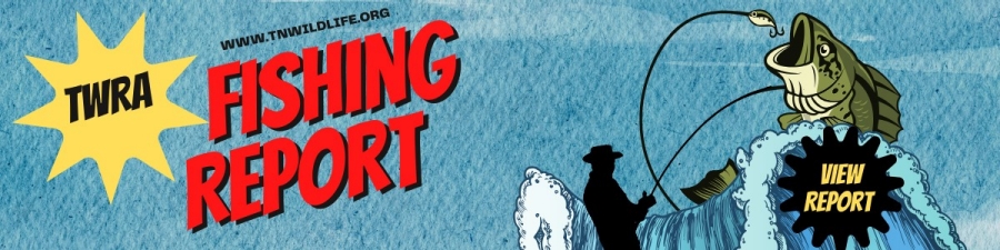 How TWRA Can Benefit Your Sustainable Life