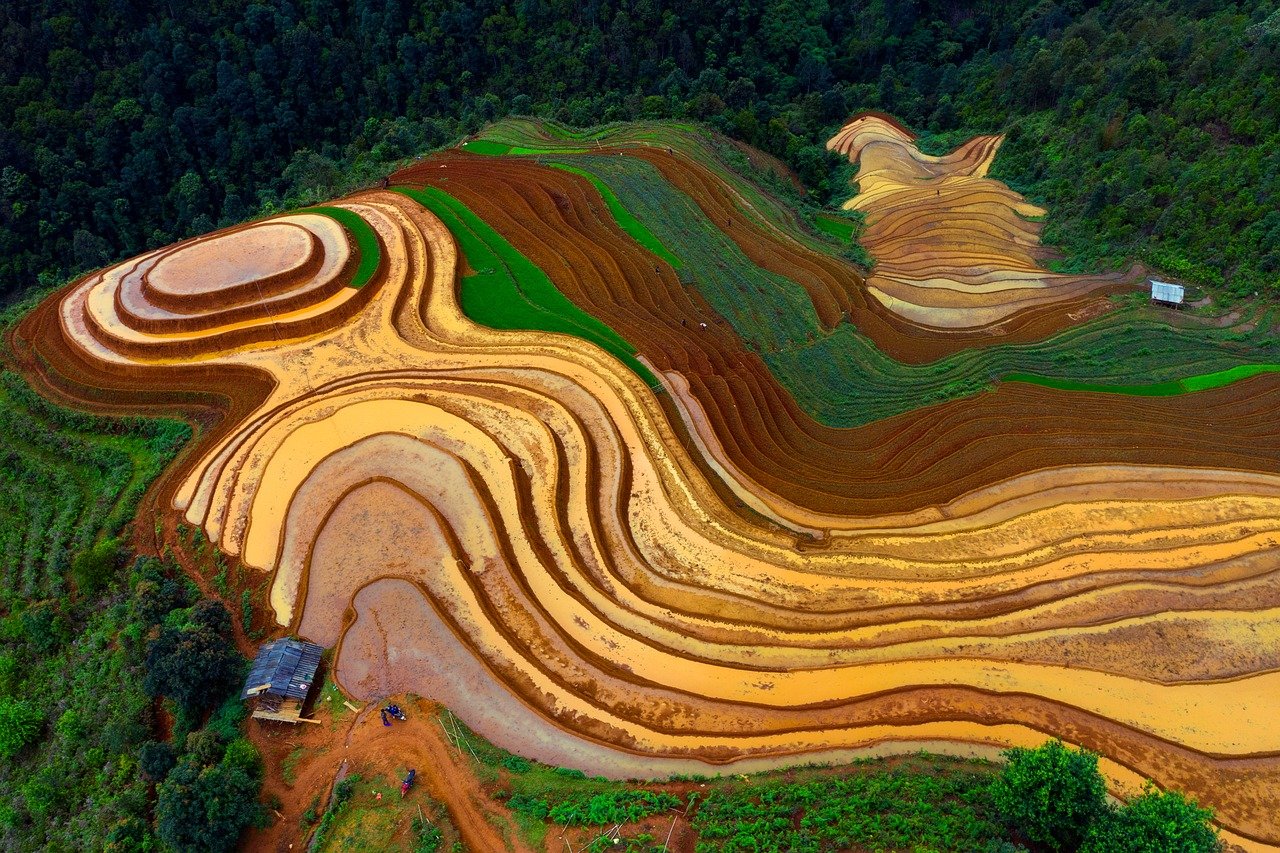 How to Build Healthy Soil for the Next Season