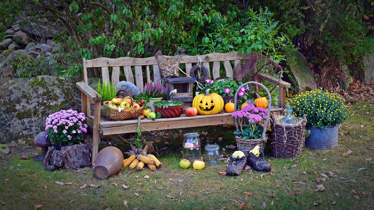 Stoney Creek Farm photo 21