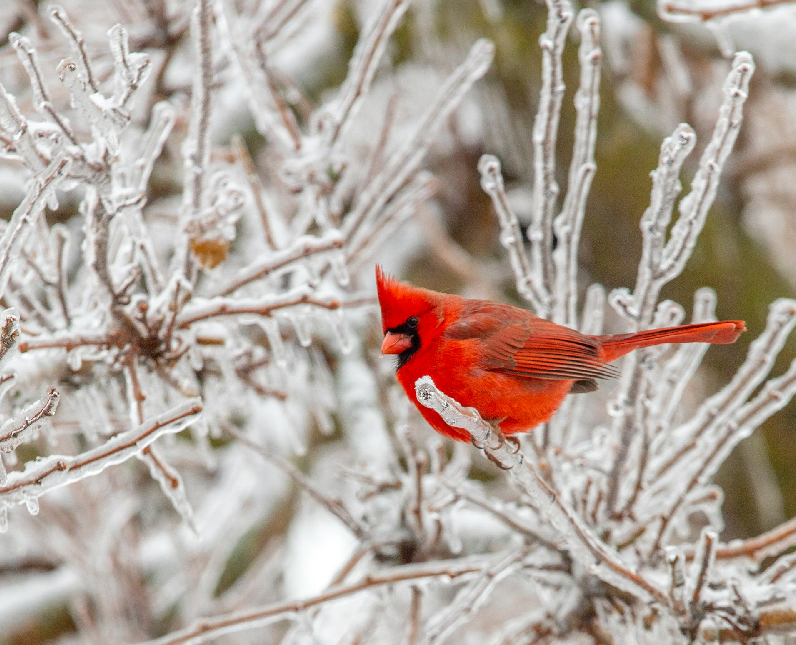 How to Prepare for a Natural Disaster: A Checklist for Heat, Water, Food, and More