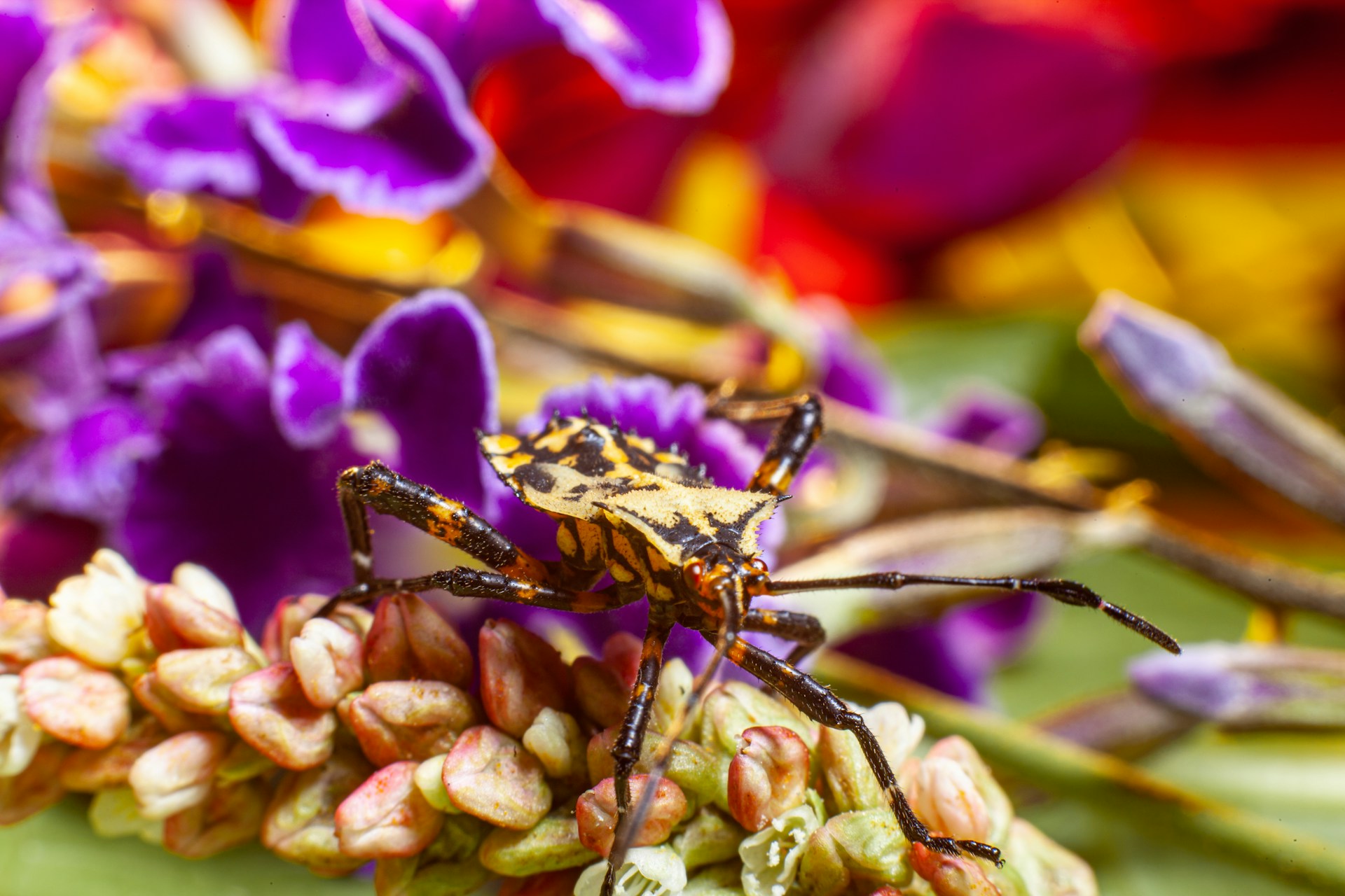 Easy, Natural Pest Control: Let Your Herbs and Flowers Do the Work