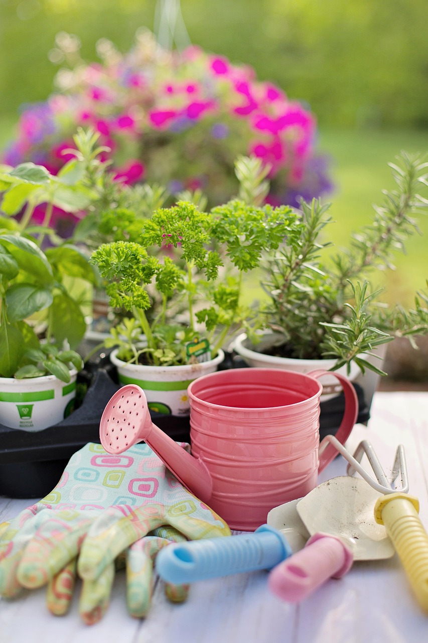 How to Harden Off Seedlings: A Step-by-Step Guide for Stronger Plants