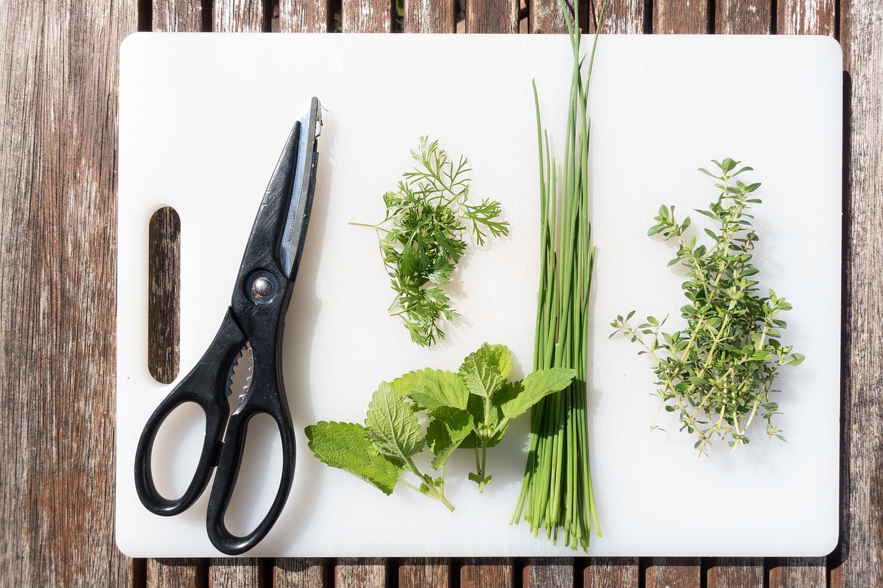 How to Prune Herbs for Maximum Harvest and Keep Your Garden Producing