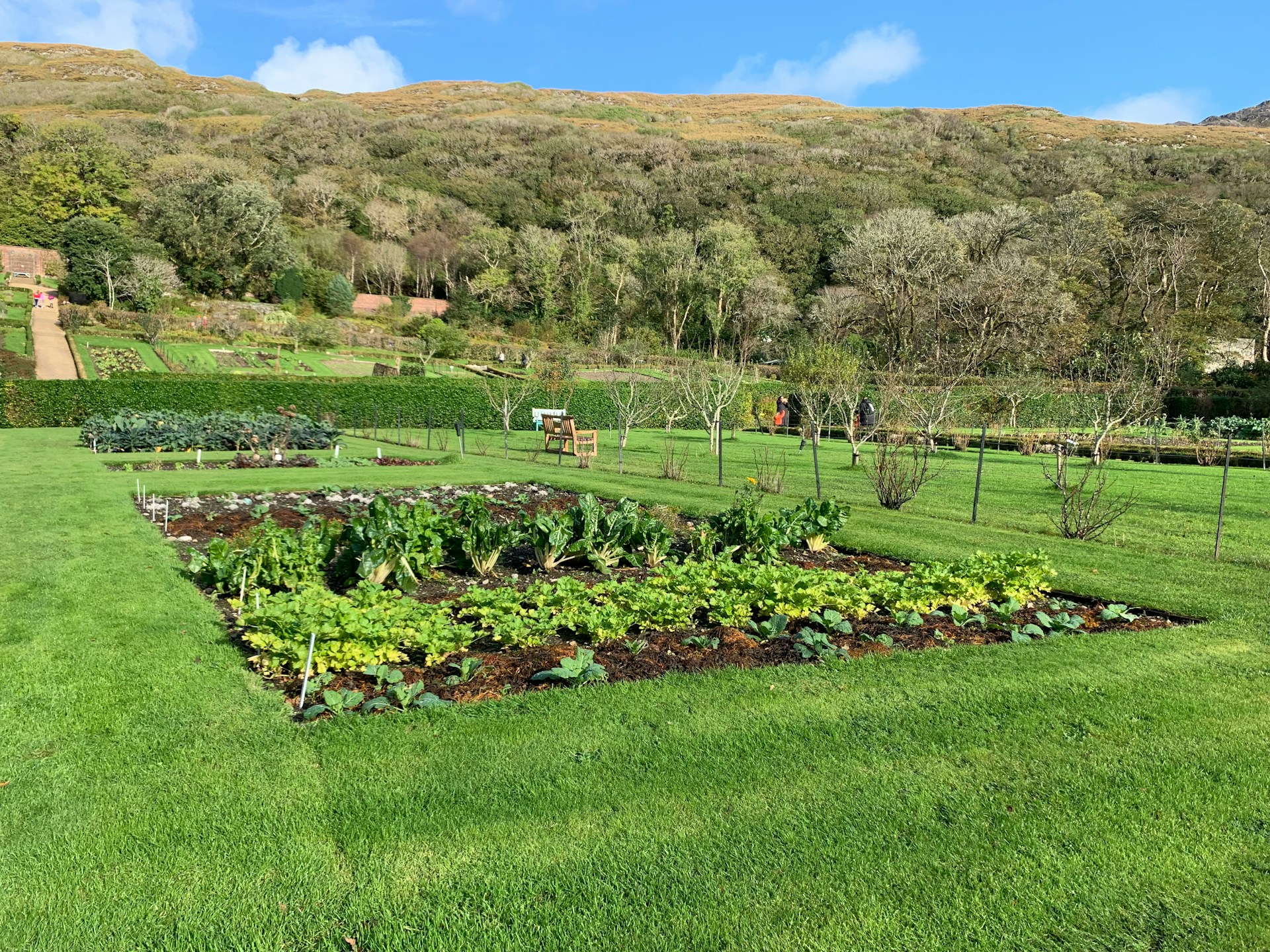 Your August Garden Checklist: Harvesting Hard, Planting Smart, and Getting Ready for Fall